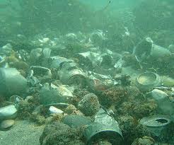basura marina